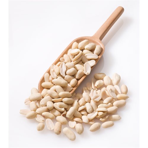 Økologiske peanuts | Biogan