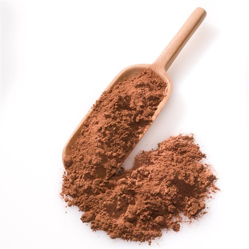 Økologisk kakaopulver uden sukker | Biogan
